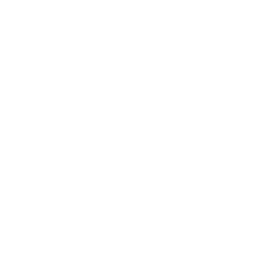 Octagon Fighting Show